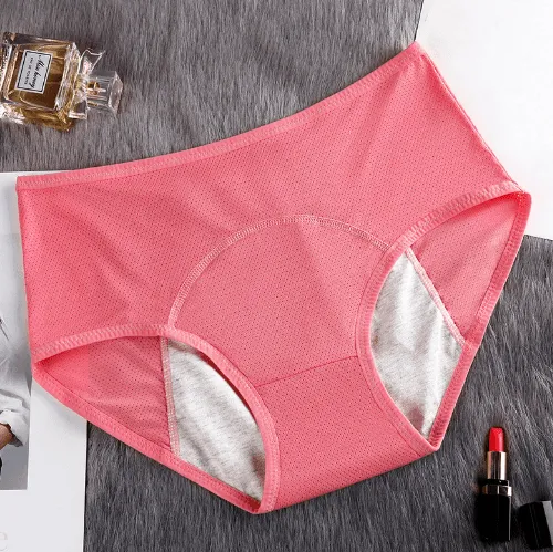 5PCS Leak Proof Panties