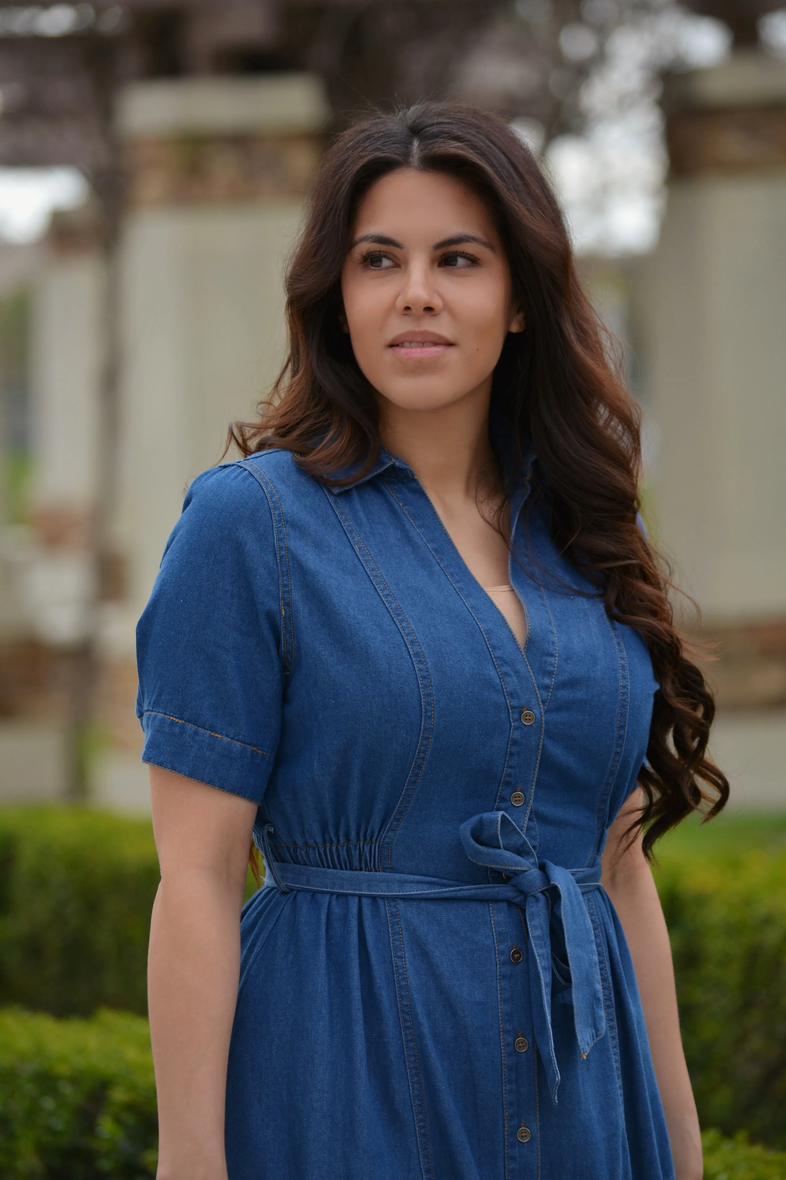 Anne Dark Denim Midi Dress