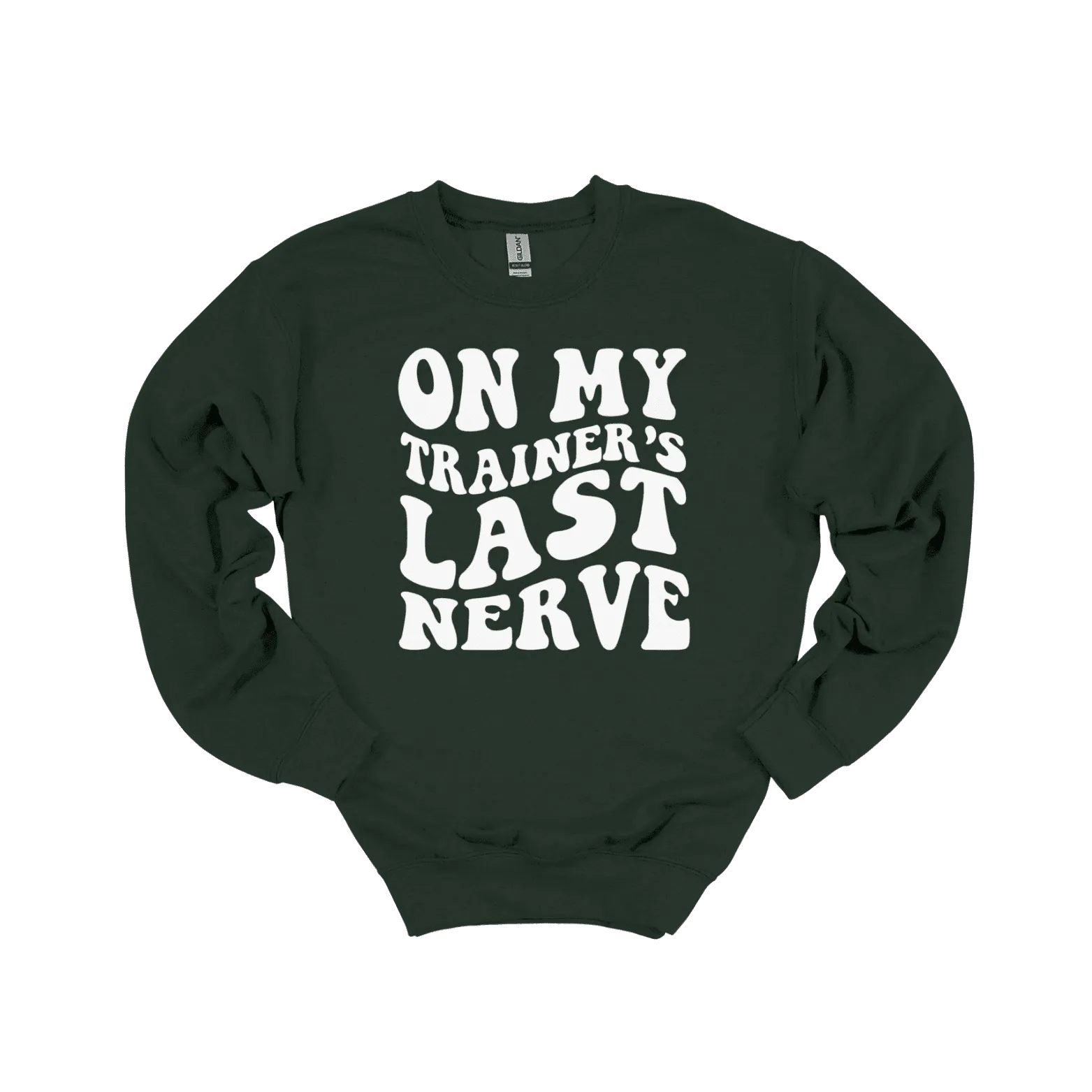 On My Trainer’s Last Nerve Sweatshirt