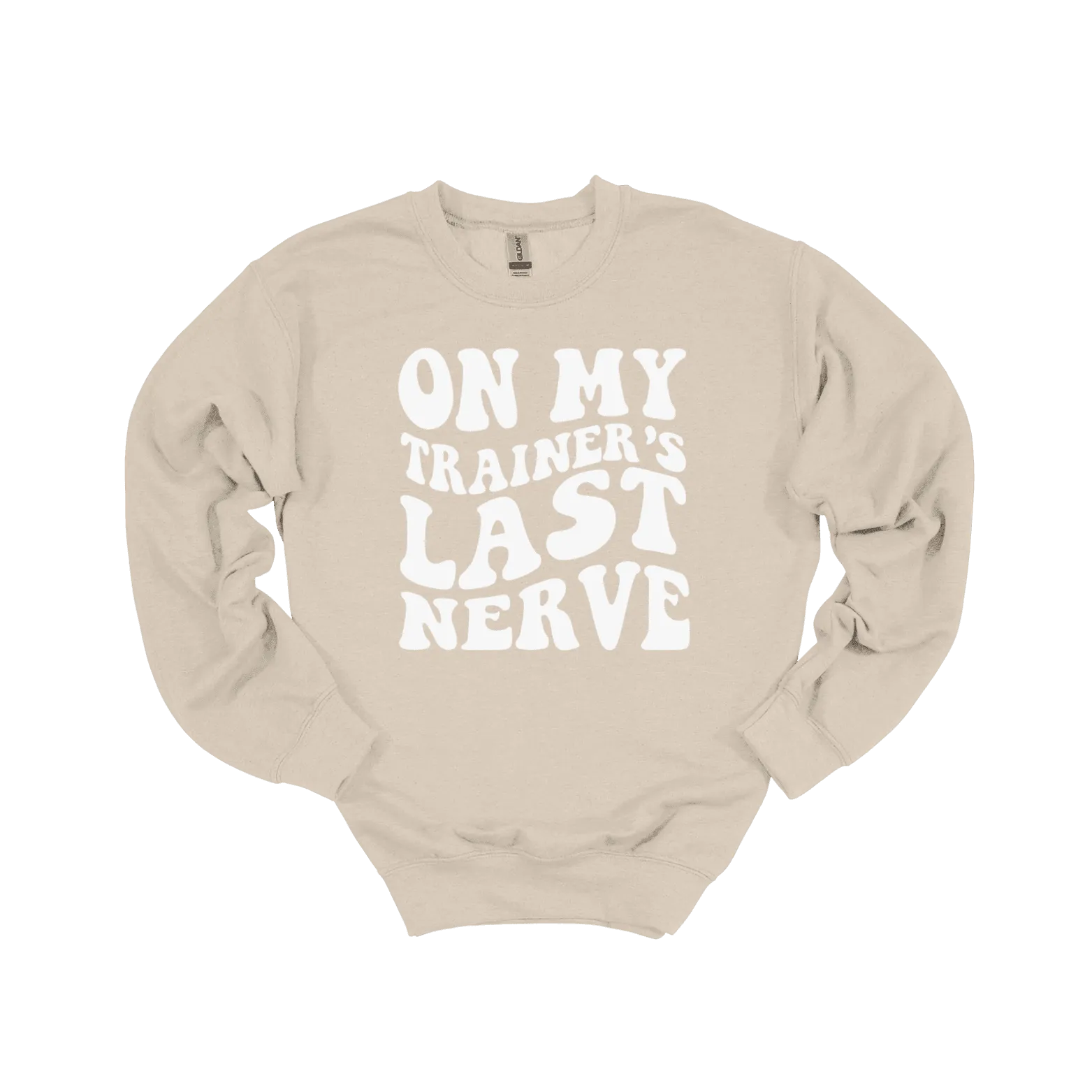 On My Trainer’s Last Nerve Sweatshirt