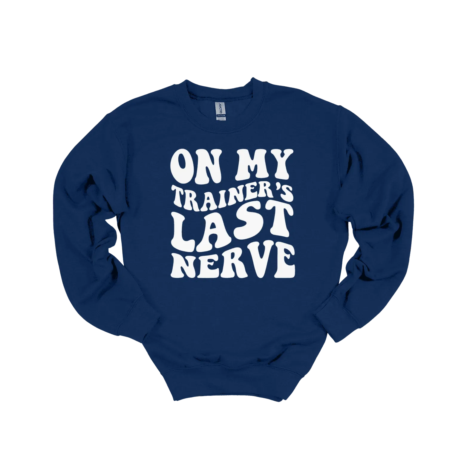 On My Trainer’s Last Nerve Sweatshirt